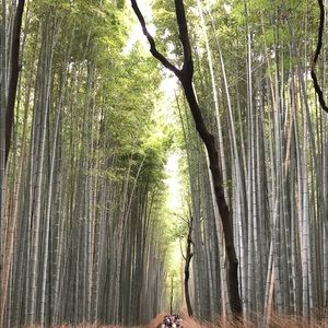 Meet your Posher, Carolynn